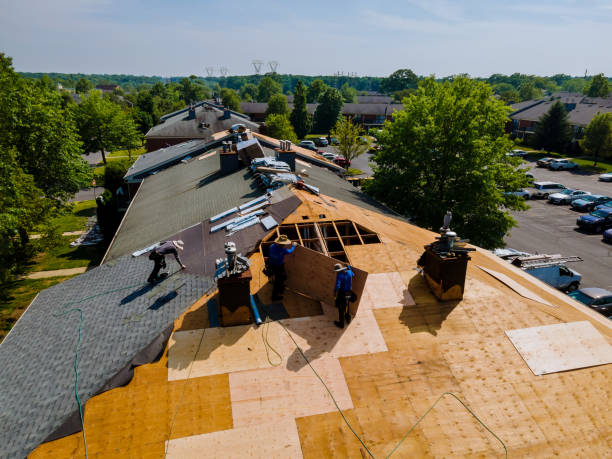Trusted Storm Damage Roof Repair service in Corapeake, NC - Brentwood Metal Roofing
